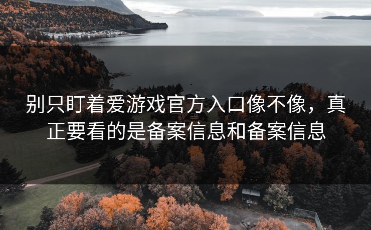 别只盯着爱游戏官方入口像不像，真正要看的是备案信息和备案信息